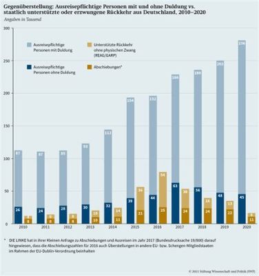 Die Revolte der Vacina: Eine Studie über die sozialen und politischen Spannungen im frühen Brasilien